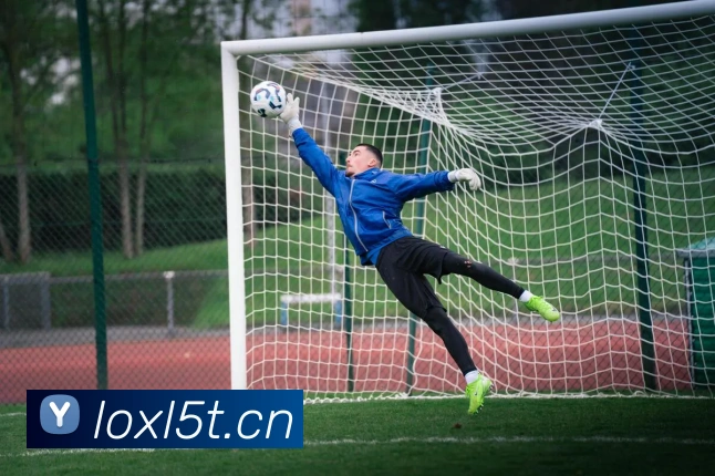 星空手机在线登陆入口服务体系